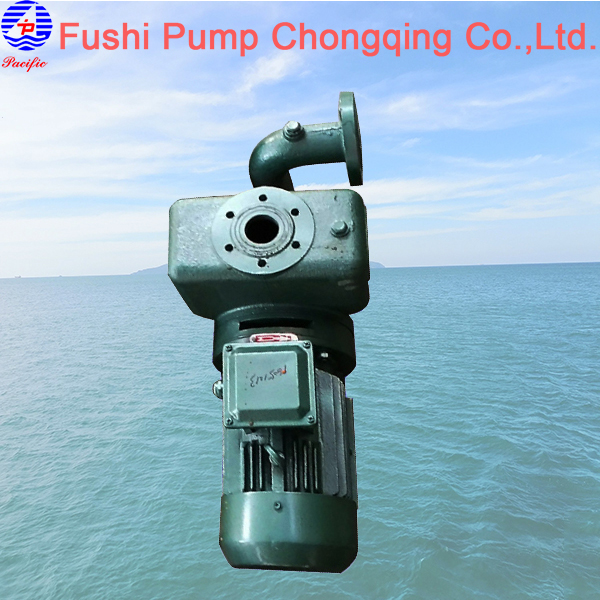 CWX Marine Vertical Selfpriming Domestic Water Pump_Fushi Pump